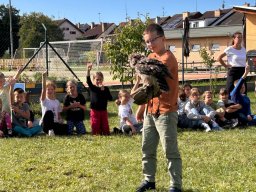 Ukázka výcviku dravců